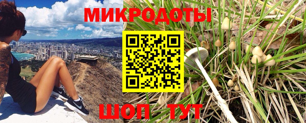 Корсаков  Псилоцибиновые грибы Psilocybe  Вход с VPN 