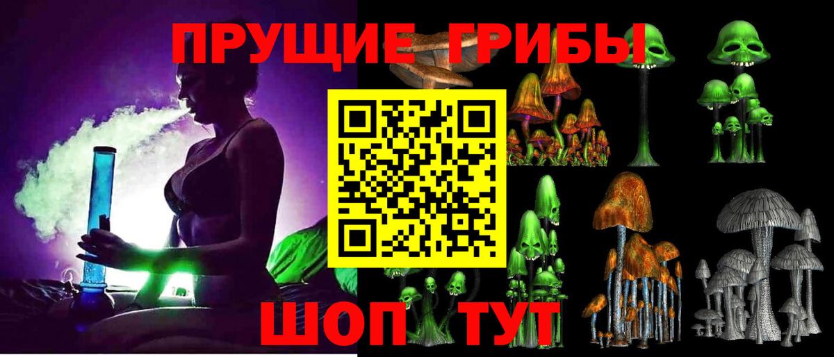 Галлюциногенные грибы Cubensis Корсаков
